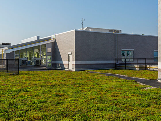 A green roof.