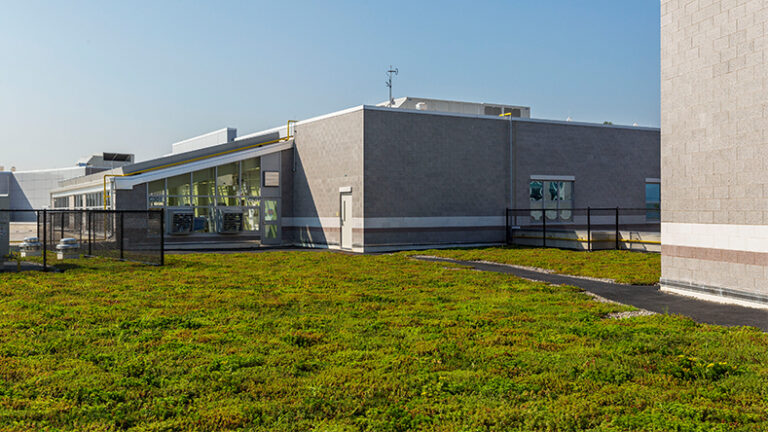 A green roof.