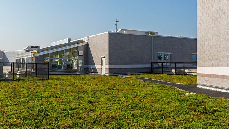 A green roof.