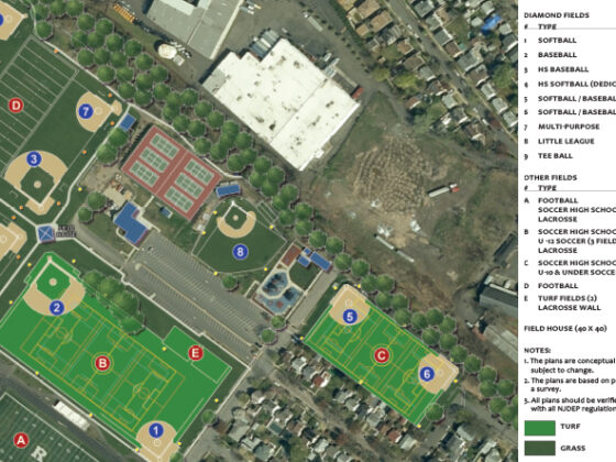 A plan lays out where a variety of sports fields, such as softball, baseball, football and lacrosse, can be accomodated for a proposed park project.