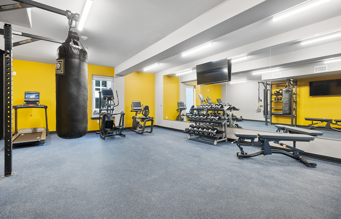 The fitness room at The Vale equipped with traditional gym equipment such as free weights, benches and cardio equipment.